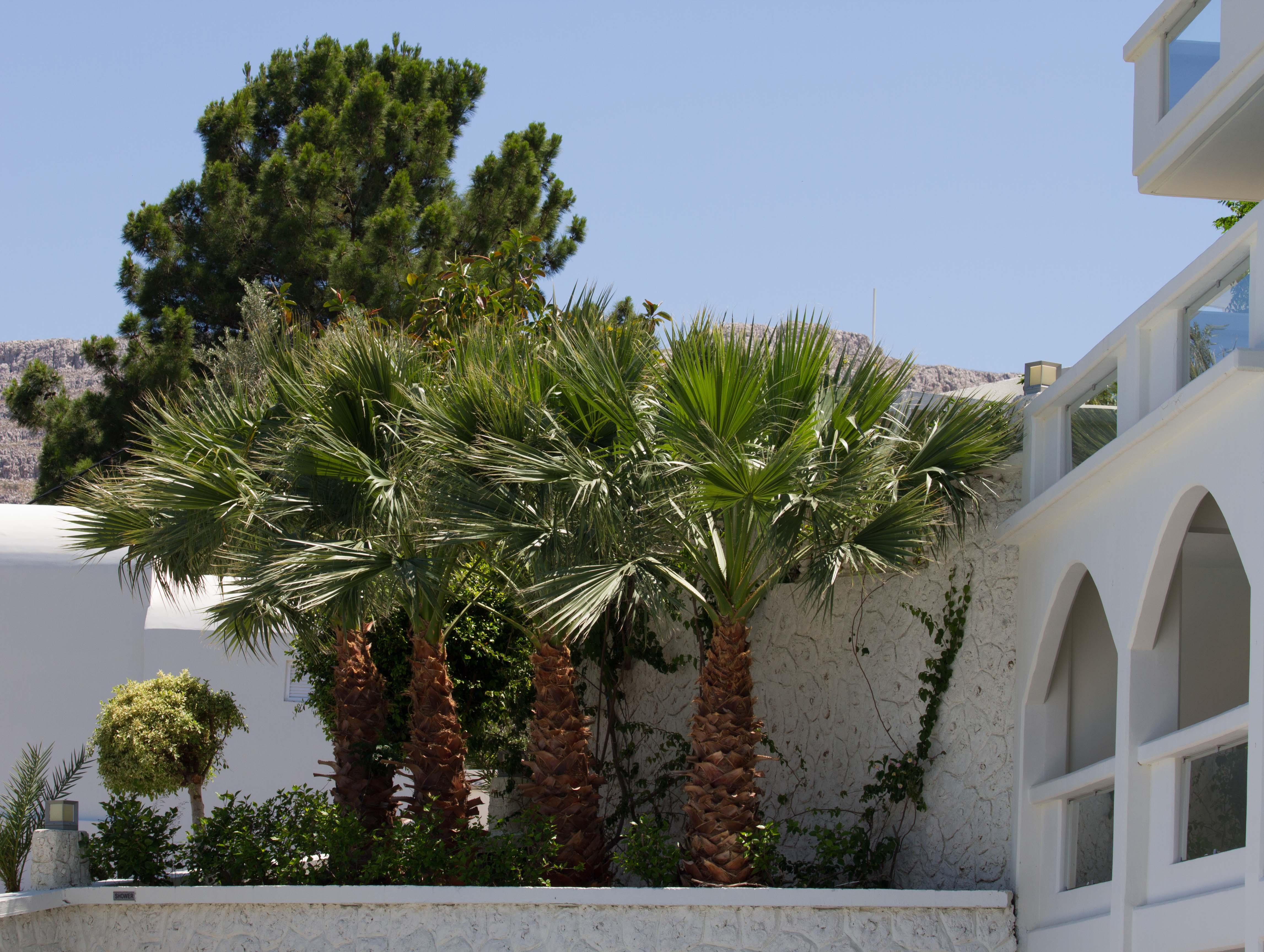 Lindos White Hotel & Suites Kültér fotó